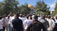 مستوطنون يهود يقتحمون باحات المسجد الأقصى