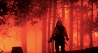 مقتل شخص وإصابة 18 في حريق غابات روسيا