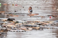 مصرع 4 أشخاص جراء الفيضانات في بلجيكا 