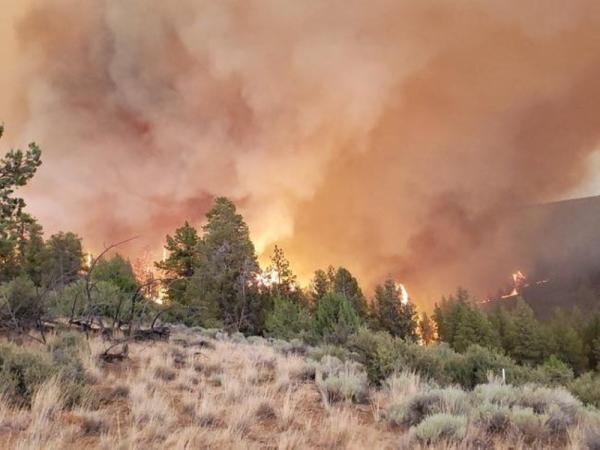 حرائق الغابات بأمريكا تتجاوز 1100 كيلو.. و5 آلاف منزل في خطر 
