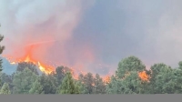 إسبانيا .. حريق غابات يدمر 1100 هكتار