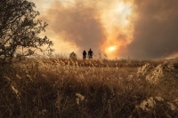 فرنسا تواجه حريق غابات ضخم في ناربون وكاركاسون