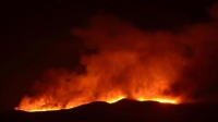 50 حريقا في غابات اليونان بسبب الجفاف الشديد