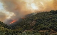 دراسة: دخان حرائق الغابات له علاقة بارتفاع حالات الإصابة بكورونا