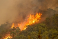 مصرع إطفائي في حريق الغابات جنوب إسبانيا