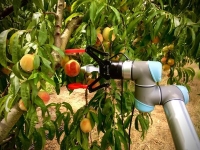قفزة علمية عملاقة .. تطوير رؤية الروبوتات التي تعمل في الزراعة