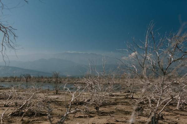 إعلان حالة الطوارىء في كاليفورنيا جراء الجفاف