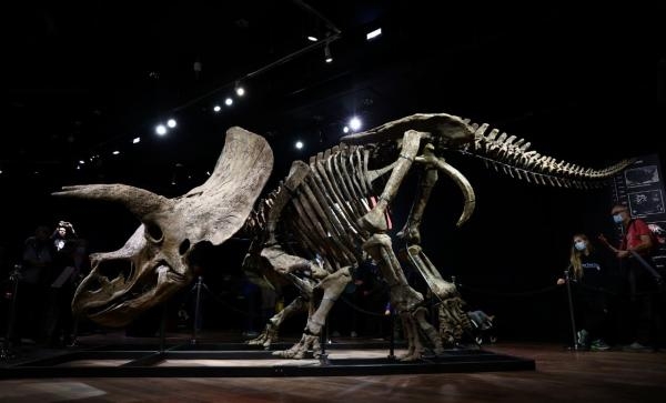 بيع رفات ديناصور بأكثر من 7.5 مليون دولار
