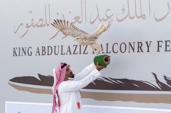 مهرجان الملك عبدالعزيز للصقور.. مليون ريال لدعم الإنتاج المحلي
