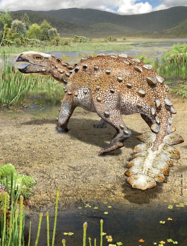 اكتشاف ديناصور مدرع بذيل مدبب