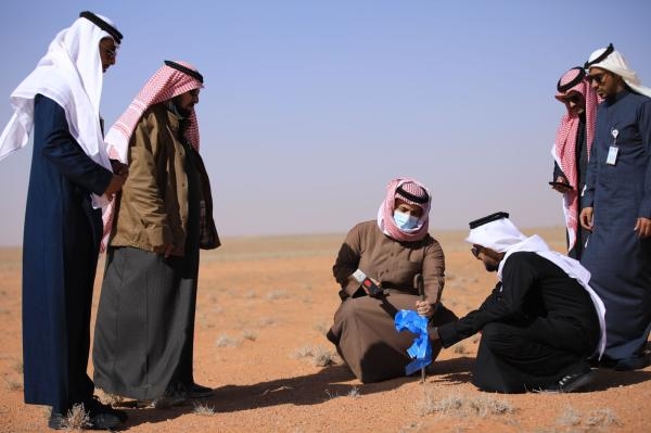 100 ألف شجرة تزين روضة التنهات في محمية الملك عبدالعزيز