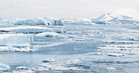 ماذا فعل التلوث البلاستيكي في ثلوج القطب الجنوبي؟
