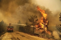 حريق «متعمد» يلتهم 11 ألف فدان من غابات تركيا