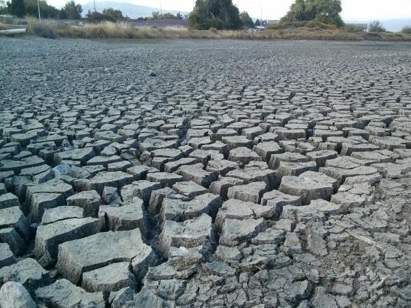 موجة من الجفاف الشديد تضرب كاليفورنيا الأمريكية - مشاع إبداعي