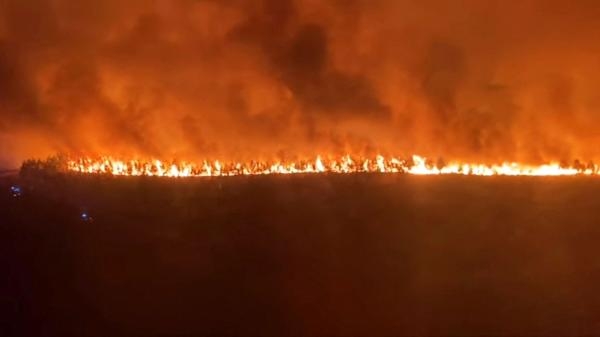 تدمير 16 منزلًا جراء حرائق غابات جنوب غرب فرنسا