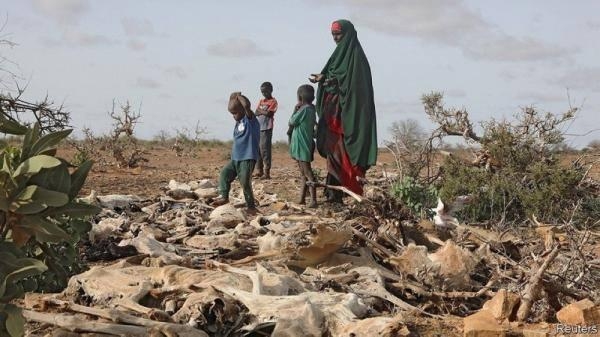 نزوح 755 ألف شخص بالصومال نتيجة الجفاف