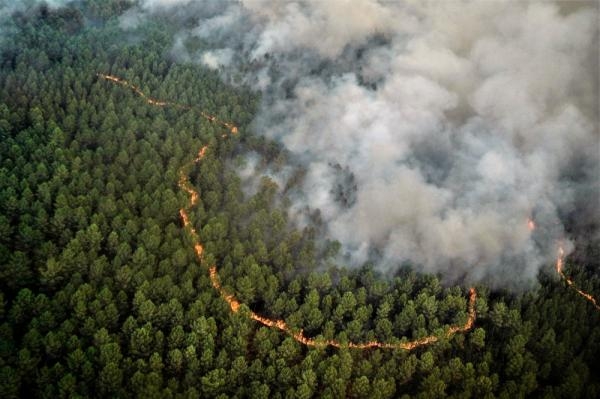 مراقبون: فرنسا تتعرض لأسوأ حرائق غابات منذ 20 عاما