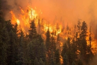 2022.. عام قياسي في حرائق الغابات على أوروبا