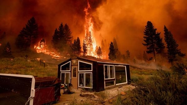 مستويات قياسية في حرائق الغابات الأوروبية 