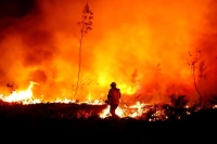 2022.. عام قياسي في حرائق الغابات على أوروبا