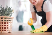 العمالة المنزلية - مشاع إبداعي