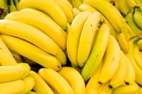 الموز غير الناضج يخفض السرطان 60 %