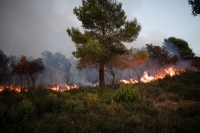 وفاة 26 شخص بسبب حرائق غابات في الجزائر