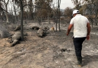 القضاء الجزائري يفتح تحقيقًا حول "حرائق الغابات"