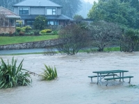 نيوزيلندا ..تراجع حدة الأمطار الغزيرة بعد طقس سيء