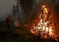 روسيا: حالة طوارئ بسبب حرائق «رايازان» والدخان يغطي موسكو