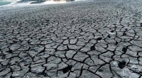 الجفاف يهدد ما يقرب من نصف أوروبا
