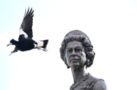 طائر يحلق فوق تمثال الملكة إليزابيث الثانية في مقر الحكومة في بريزبين - أ ب