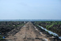دراسة: أكثر من نصف عمليات إزالة الغابات الاستوائية وقعت في إندونيسيا