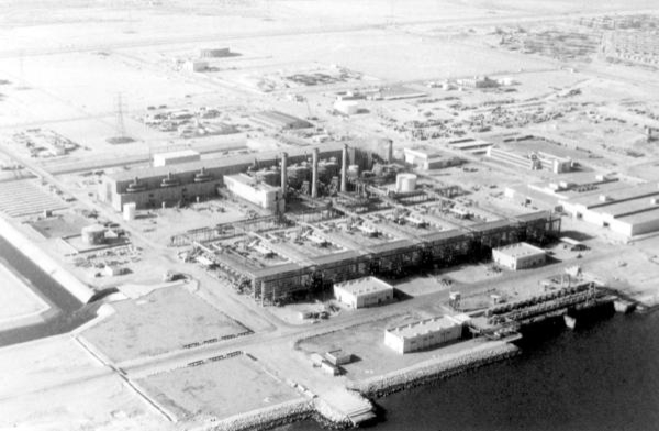 امتلكت الحكومة السعودية شركة أرامكو بأكملها في عام 1980
