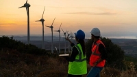12.7 مليون فرصة عمل بقطاع الطاقة المتجددة عالميا