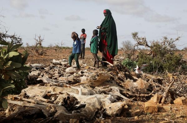 مقتل 3 قيادات من حركة الشباب الإرهابية في الصومال