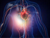 أمراض القلب تتسبب في عدة مشكلات واضطرابات قد تؤدي إلى الوفاة