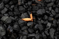 تحذير ألماني من زيادة استخدام الفحم على مستوى العالم