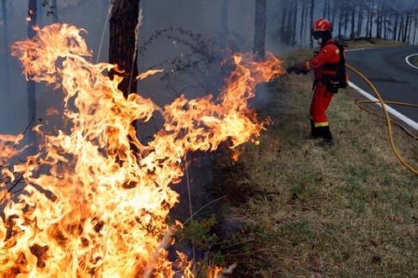 السيطرة على حرائق الغابات في شمال إسبانيا إلى حد كبير
