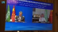 وزير الخارجية ونظيره الصيني يترأسان اجتماع «لجنة الشؤون السياسية والخارجية»
