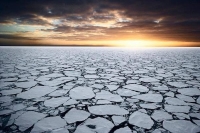 علماء يحذرون: الأرض تعيش أزمة مناخ كبيرة