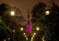 اليابان تطالب الأفراد والشركات بتوفير الطاقة خلال فصل الشتاء