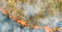 اندلاع الحرائق أحد أخطر آثار التغير المناخي - الموقع الرسمي لقمة المناخ 27