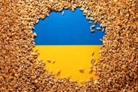أوكرانيا تخطط لتوفير الحبوب لـ5 ملايين شخص بنهاية ربيع 2023