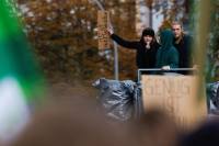 نشطاء البيئة يحتلون غابة في ألمانيا: لا تشقوا الطرق.. ولا تنفذوا خطة النقل