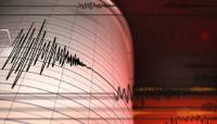 زلزال بقوة 4.6 درجة يضرب وسط تشيلي