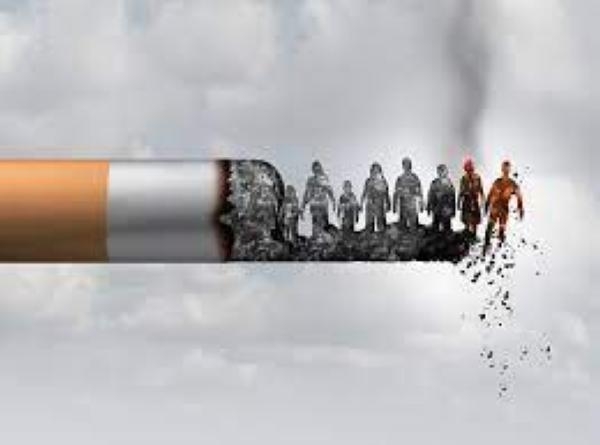 التدخين يدمر الجسم والمخ - مشاع-إبداعي