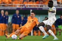 كأس العالم 2022.. فوز قاتل ينقذ هولندا من فخ السنغال