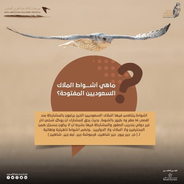أشواط ملاك مفتوح سعوديين في مهرجان الملك عبد العزيز للصقور2022 - تويتر حساب نادي الصقور 