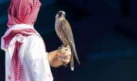 مسابقة «الملواح» تفتتح مهرجان الملك عبد العزيز للصقور